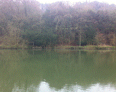 PEG 58 Pictures